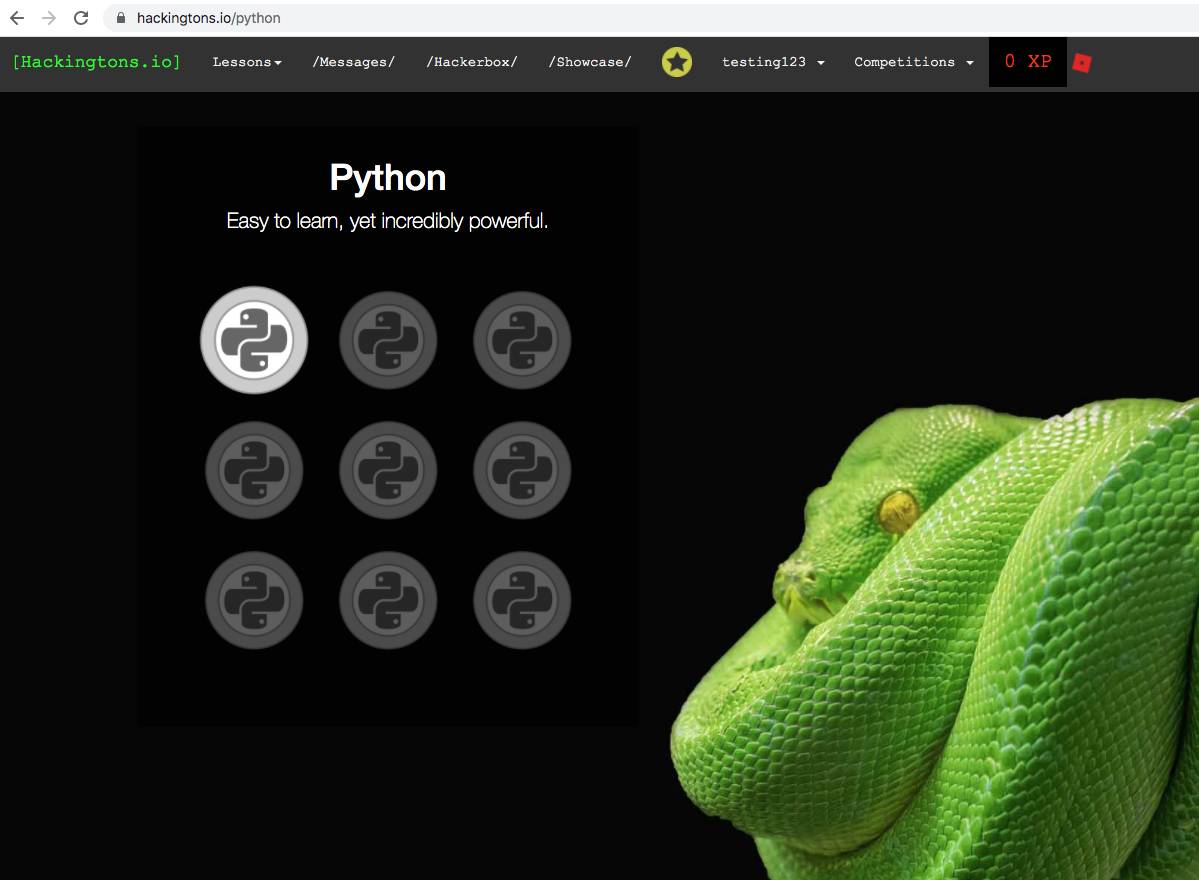 Online Python Challenge